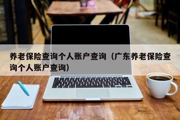 养老保险查询个人账户查询（广东养老保险查询个人账户查询）