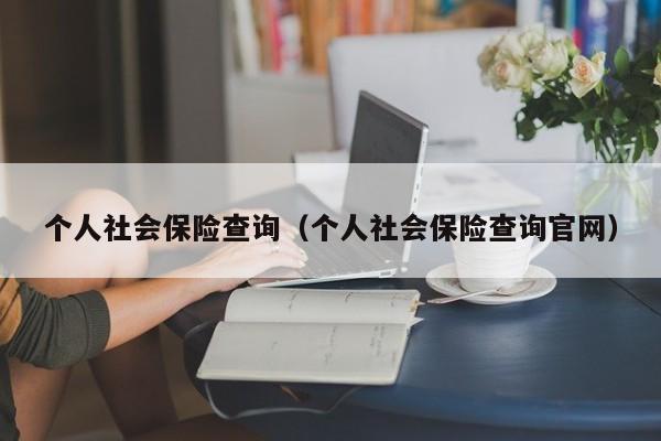 个人社会保险查询（个人社会保险查询官网）