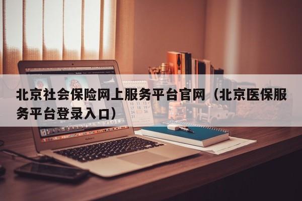 北京社会保险网上服务平台官网（北京医保服务平台登录入口）