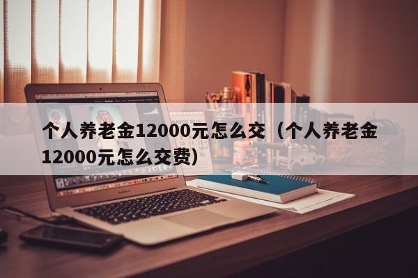 个人养老金12000元怎么交（个人养老金12000元怎么交费）