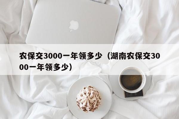 农保交3000一年领多少（湖南农保交3000一年领多少）