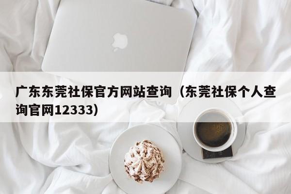 广东东莞社保官方网站查询（东莞社保个人查询官网12333）