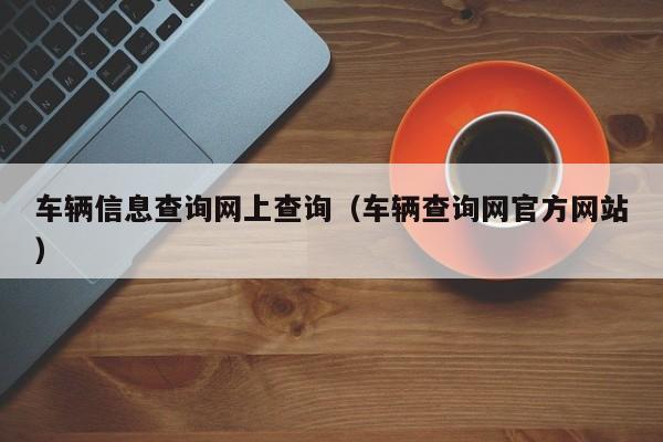 车辆信息查询网上查询（车辆查询网官方网站）