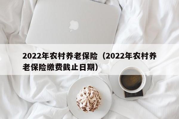 2022年农村养老保险（2022年农村养老保险缴费截止日期）