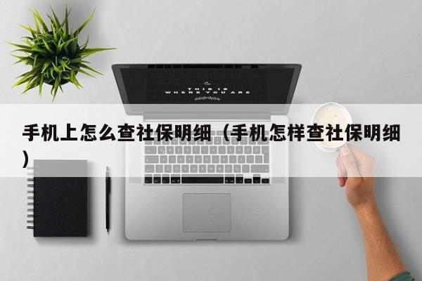 手机上怎么查社保明细（手机怎样查社保明细）